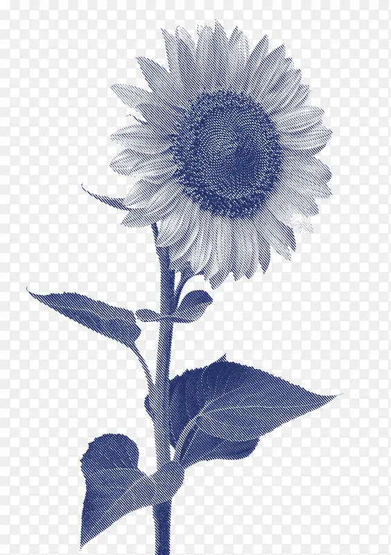 ����������Ӱ���տ�-������