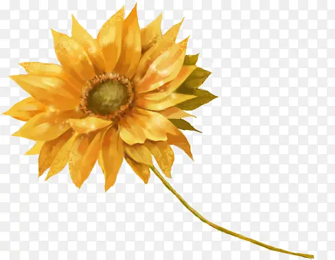 ������Ӱ��ɫ�����տ�-������