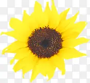 ������Ӱ�����ɫ�����տ�Ŷ-������