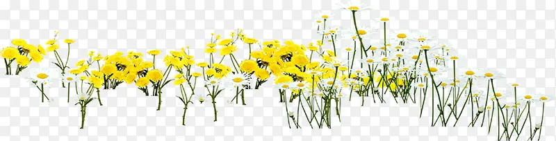 ��Ӱ�ϳ�Ч����ɫ�����տ�-������