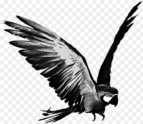 ˮī����ӥ����ز�-������