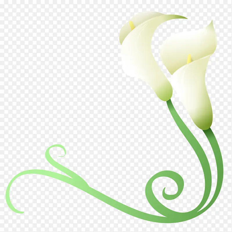 ��ɫ���Ȼ�-������