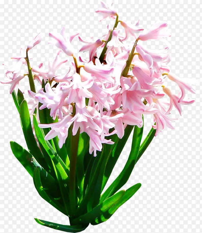 ��ɫ���Ȼ�ˮ�ɻ�-������