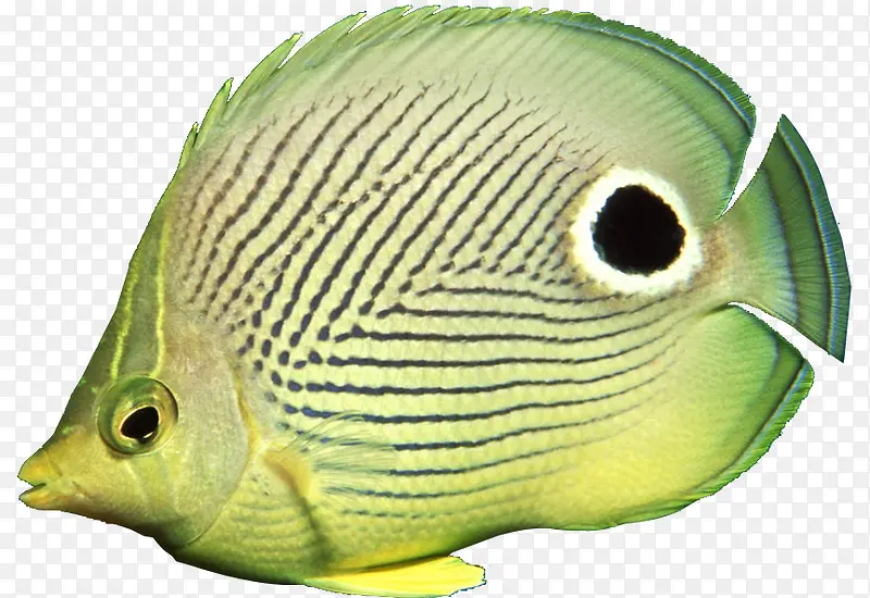 ˮ���ද������-������