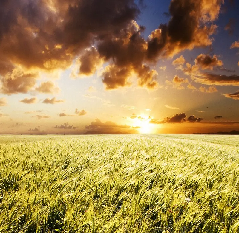 ����ͼ-������