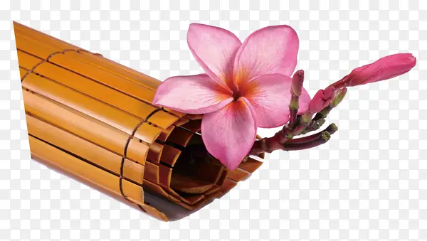 ��򻨶�-������