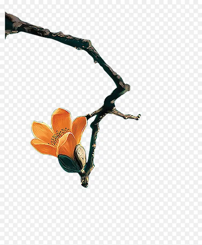 ��ɫ������-������