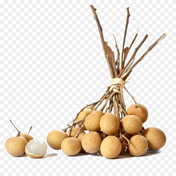 ������ζ�Ĺ�Բ��ʵ-������