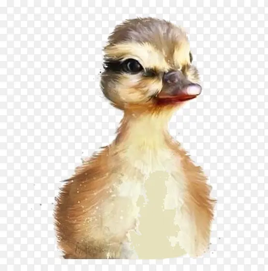 ��ͨ�ɰ�Ѽ��-������