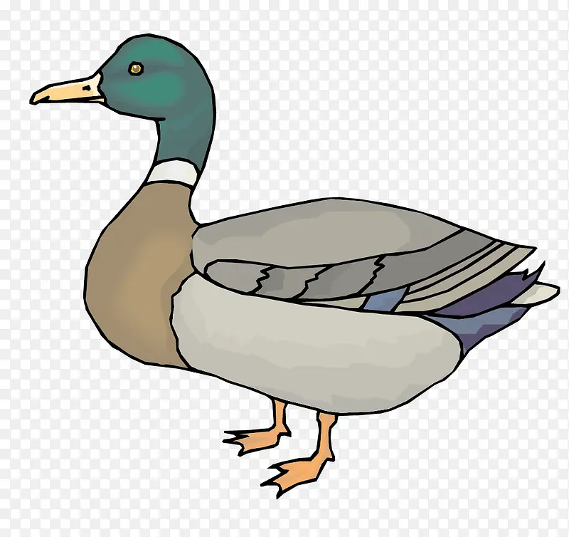 ʸ��ҰѼ���ز�-������