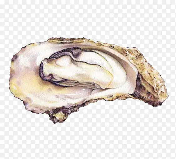 ˮ�����-������