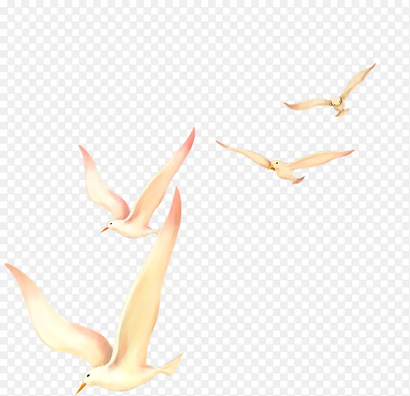 Ψ����������-������