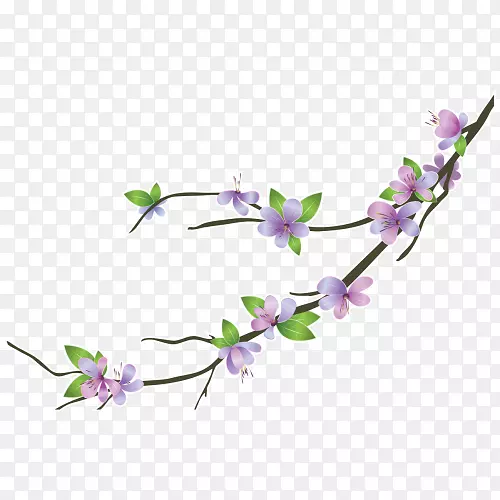 ������-������˹��-������