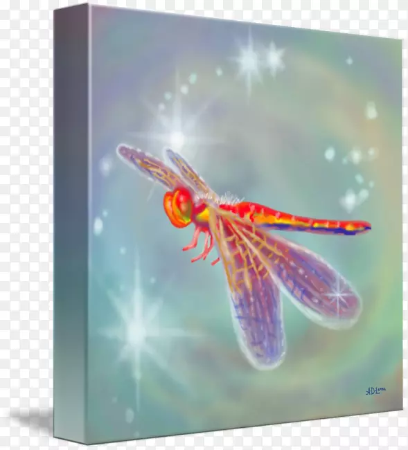 ����������������-��Ӭ-������