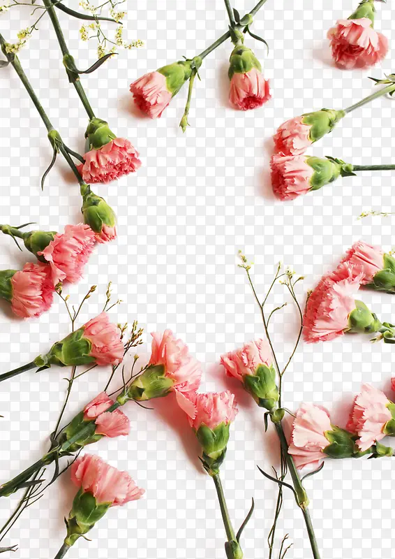 �ز� ʸ�� PNG ͨ�� ����-������