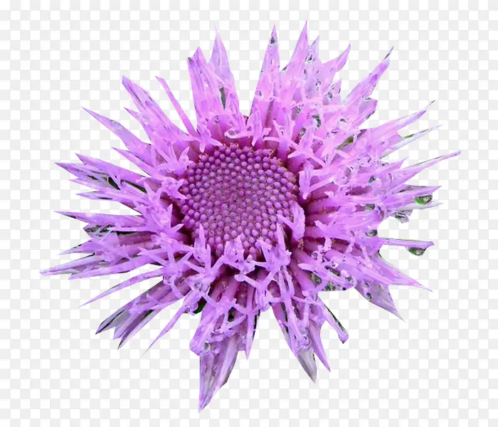 �������̼���ͼƬ�ز�-������