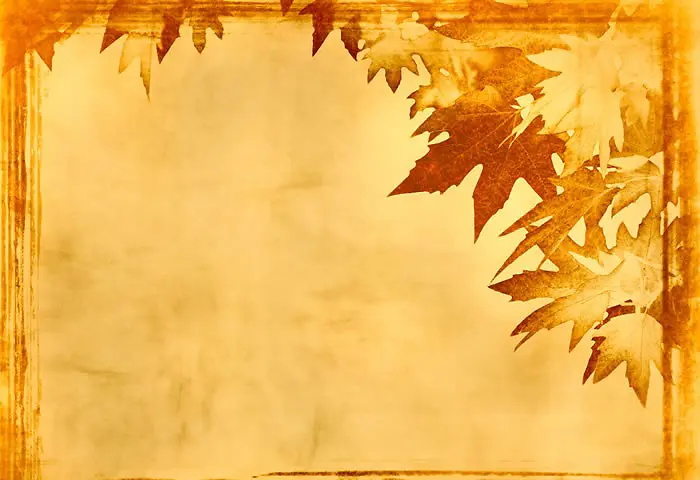 �߿�-������