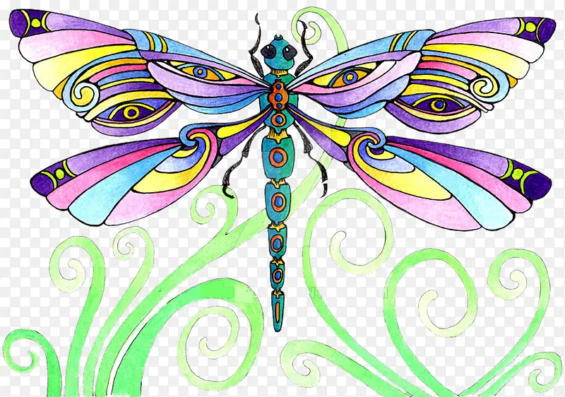 �ʻ�����-������