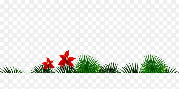 ʥ������ɫֲ���װ��ͼ��-������