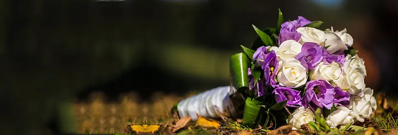 �ɰ��������������Ա����������������ͼ-������