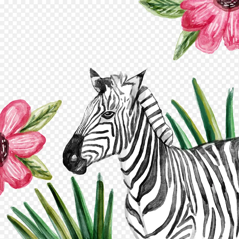 ˮ�ʻ�����-������