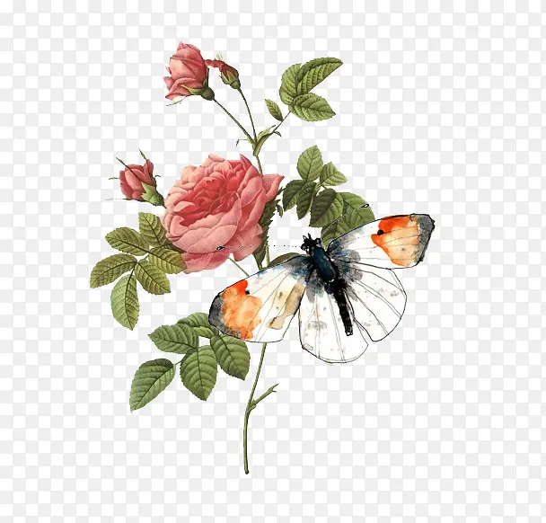 õ�廨����-������