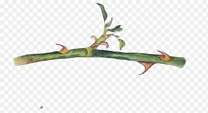 õ�廨��֦-������