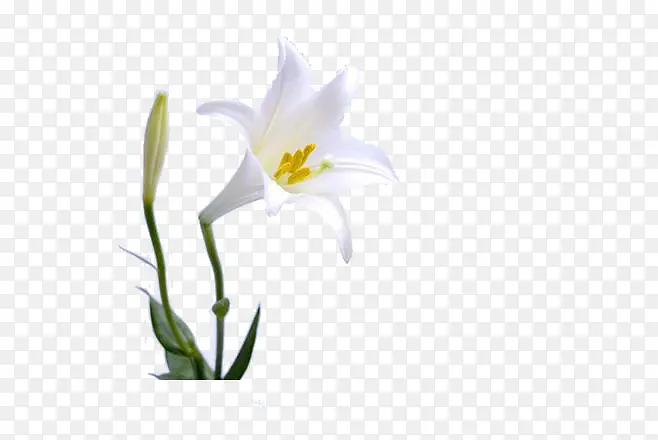 ���Űٺϻ�-������