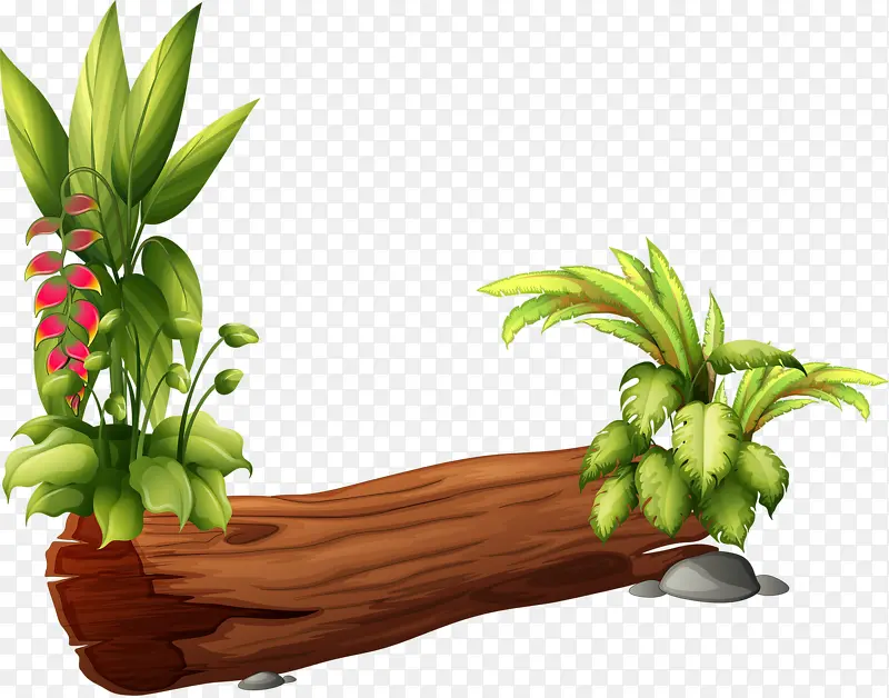 ��С�ݵ�ľ��-������