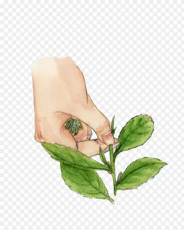 �ֻ�ɲ�-������