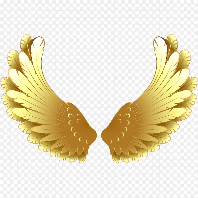 ��ɫ����ز�����-������