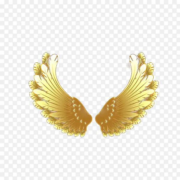 ��ɫ���-������