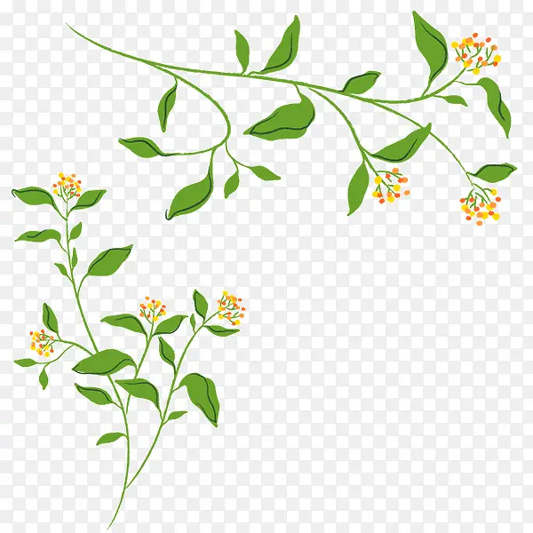 �ֻ�֦����-������