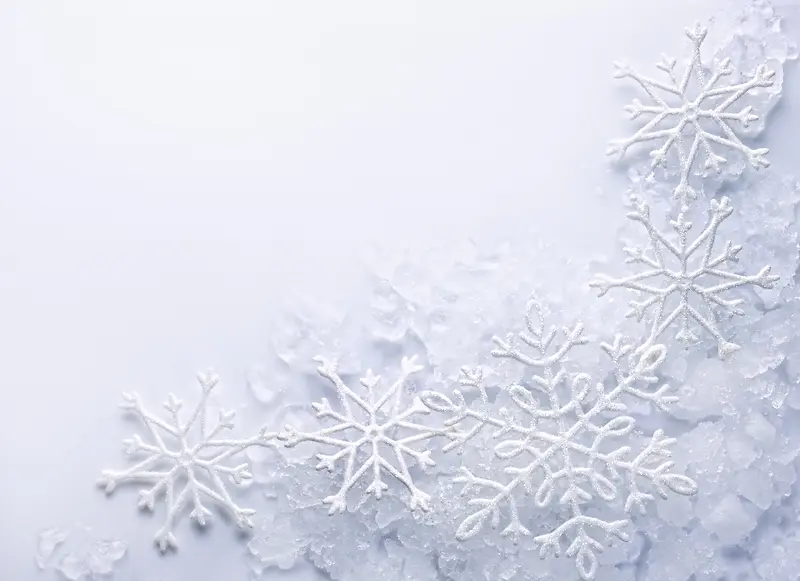 ��ɫѩ������-������