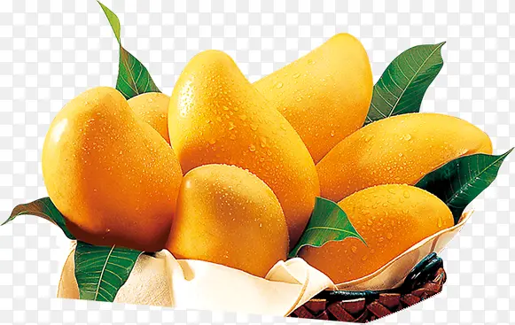 �ȴ�â���Ա���������-������