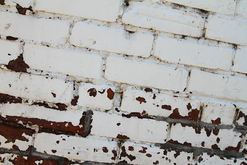 �ƾ�ǽ�ڱ���-������