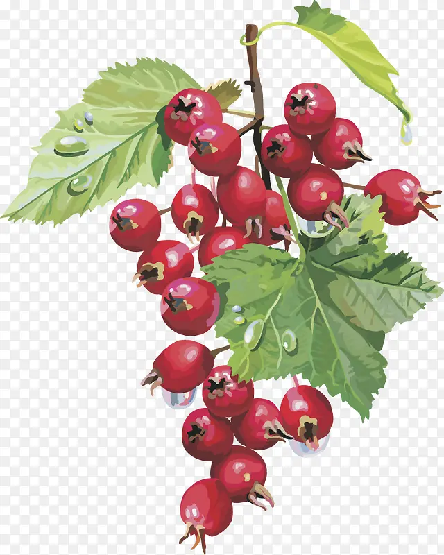 ʸ��ͼˮ��ӣ��-������