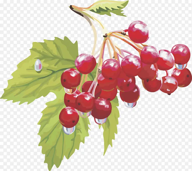 ʸ��ͼˮ��ӣ��-������