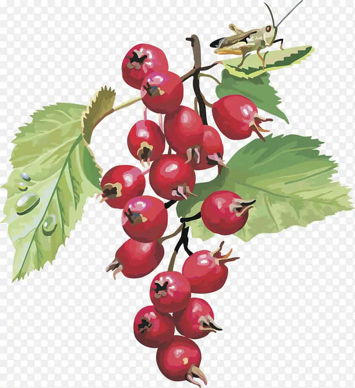 ʸ��ͼˮ��ӣ��-������