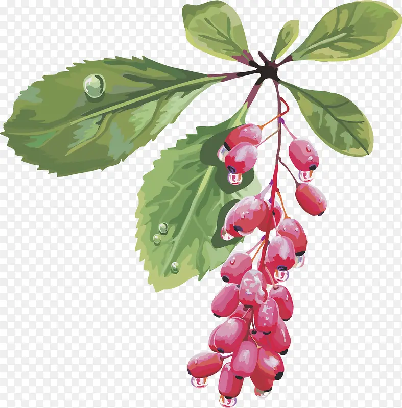 ˮ��ʸ��ͼ���Ѻ���-������