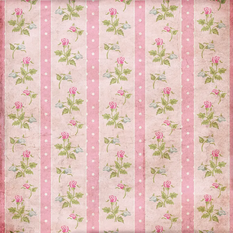 С�����ɲ��Ʊ���-������