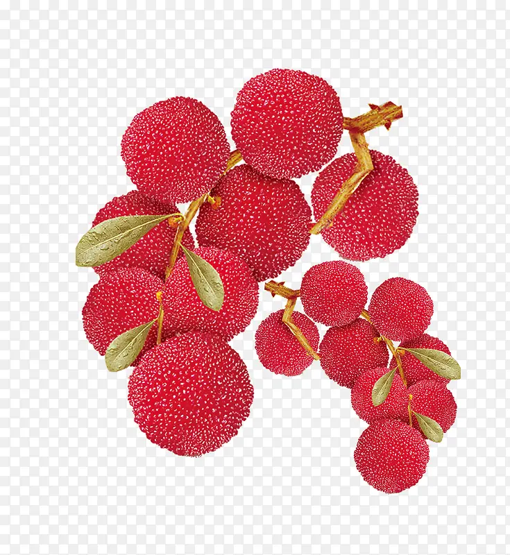 ��÷ˮ��-������