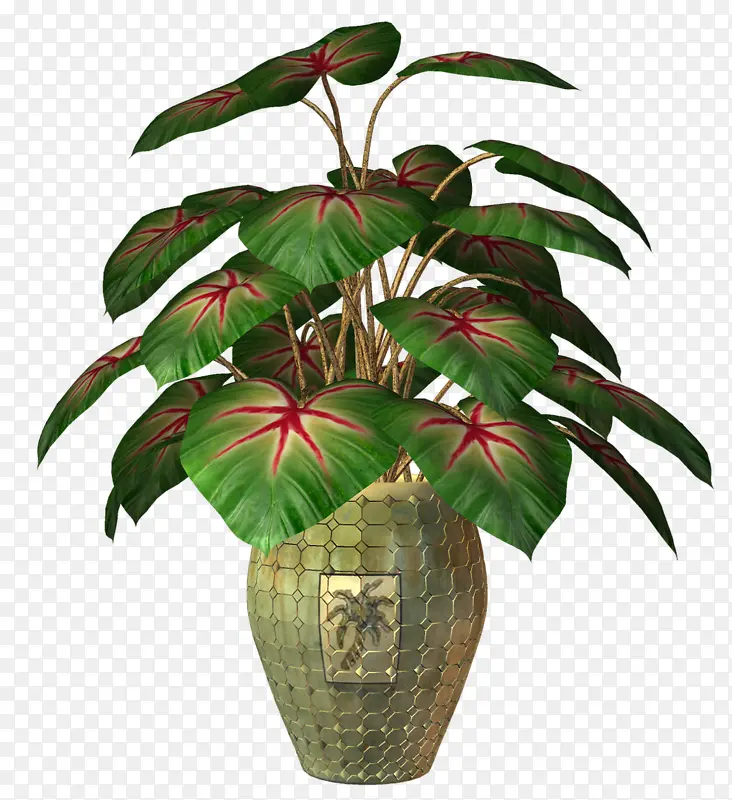 ��Ҷ-������