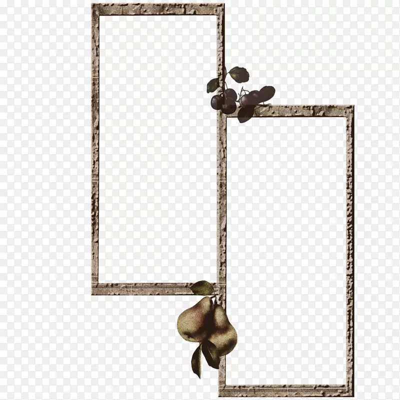 ������Ӱ�����ֽ���������߿��-������