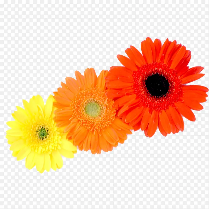 ��-������