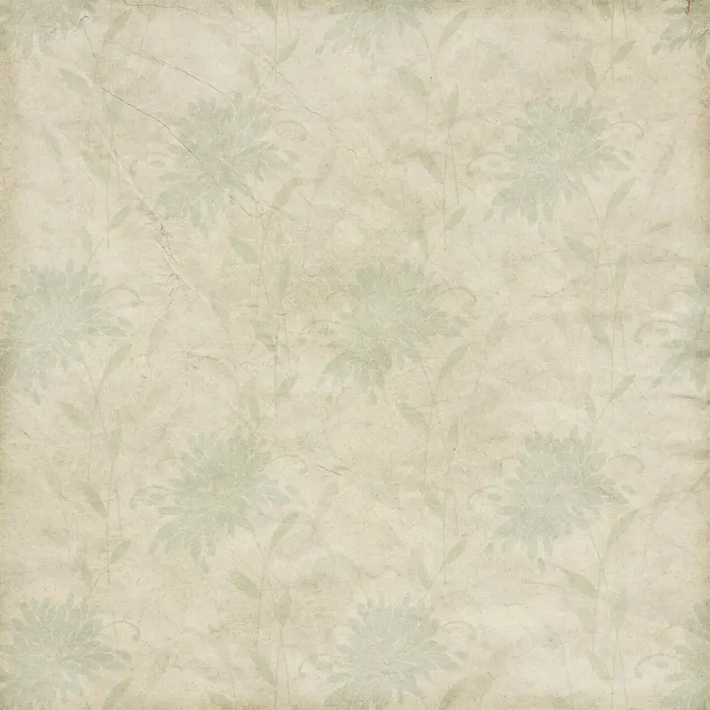 �ջ����Ʊ���-������