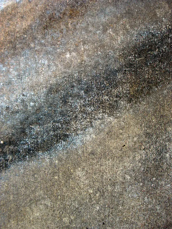 ����ǽ�ڱ�������-������