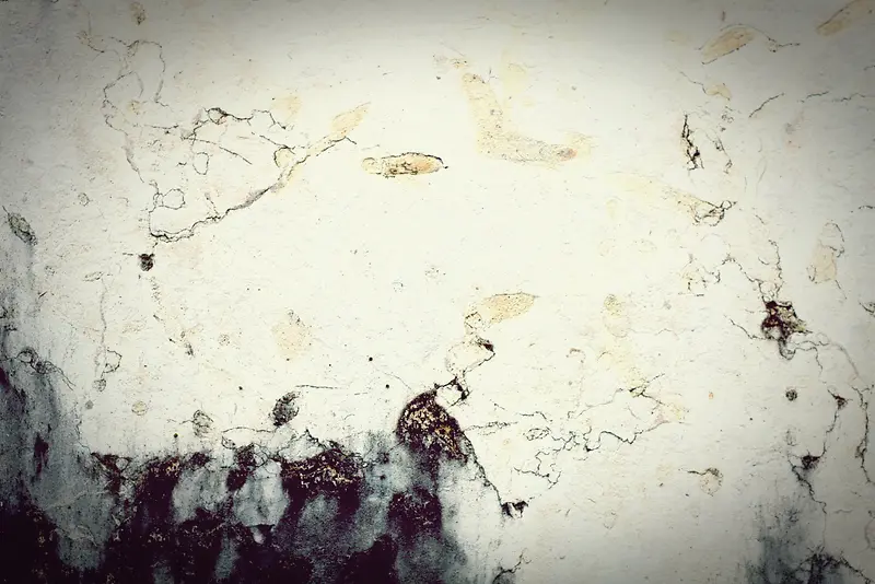 �ѷ�ǽ�ڱ���-������