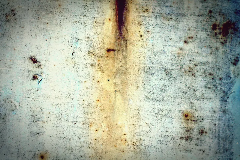 ����ˮ��ǽ�ڱ���-������