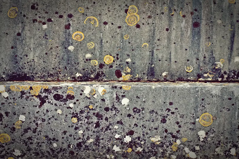 ˮ��ǽ����������-������